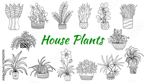 Cute hand drawn set of flowers pots. Doodle vector illustration house plants for your designes. Isolated on white background.
