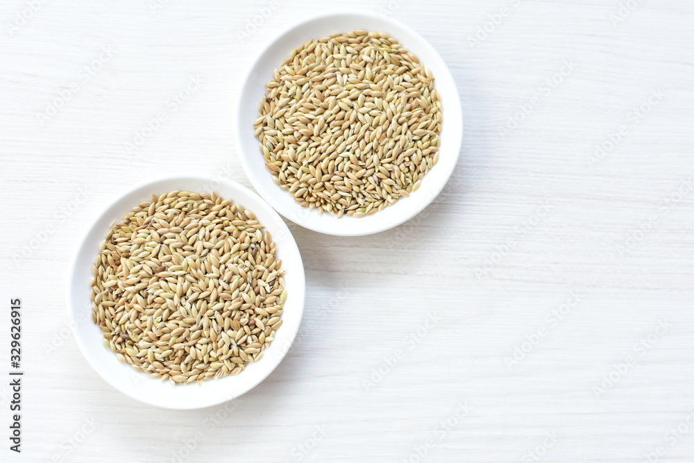 Seed of birdseed, food for birds, displayed in containers on white wooden background Seed of birdseed, food for birds, displayed in containers on white wooden background