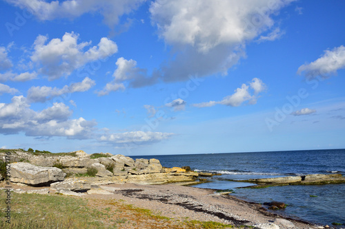 Danbo Naturreservat auf Gotland in Schweden