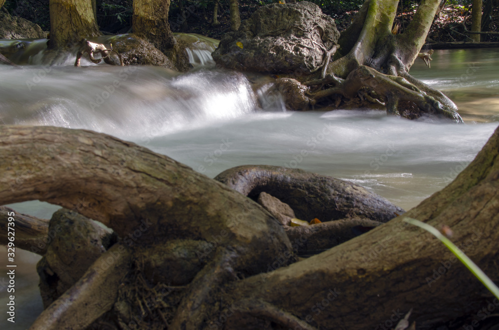 Fototapeta premium stream in forest