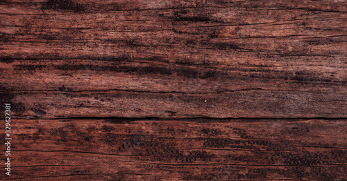 Wallpaper Mural Rustic wooden wall texture. Dark panel material for rough theme background design concepts.  Torontodigital.ca