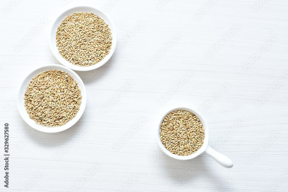 Seed of birdseed, food for birds, displayed in containers on white wooden background Seed of birdseed, food for birds, displayed in containers on white wooden background