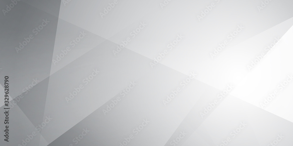 Obraz premium Abstract white geometric background with triangle shape, light, modern corporate concept