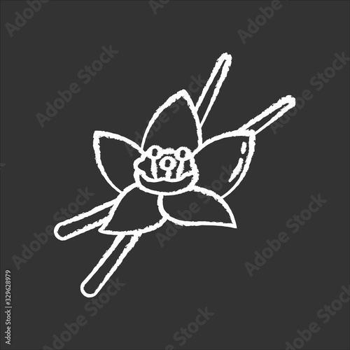 Vanilla chalk white icon on black background. Aromatic flower and pods of vanilla orchid. Aroma and flavor compound. Cosmetic plant. Sweet baking ingredient. Isolated vector illustration
