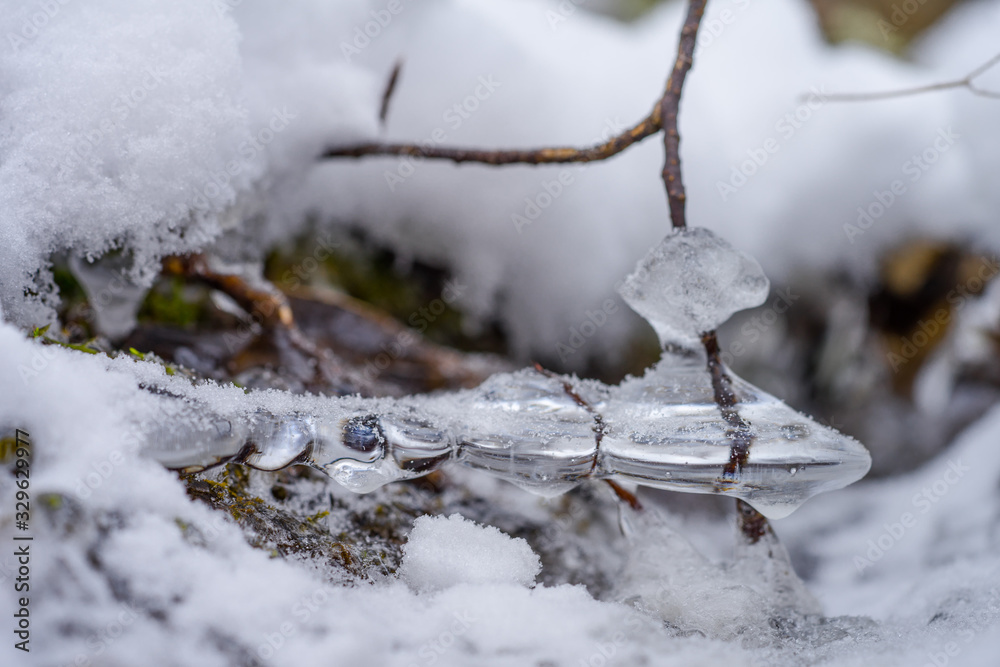 Canine teeth like ice capsules on branches in the river. Half transparent bubble, Fragile natural decorations created by temperature fallen below freezing. Arctic art in Estonia.