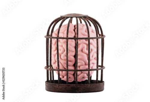 Fotografie Human brain trapped in old rusty cage isolated on white