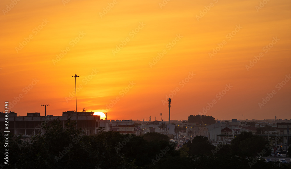 Orange sunset. The tree and arabic city against the sun disc. 