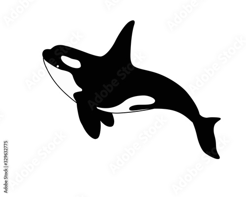 Killer whale - stock vector silhouette of a marine mammal. Оrca is a marine cetacean for a logo or pictogram. Beautiful graceful killer whale resident of the underwater world icon 