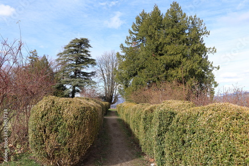 Parc du château de l'échelle dans La Roche sur Foron - ville La Roche sur Foron - Département Haute Savoie - France - Grand espace vert photo