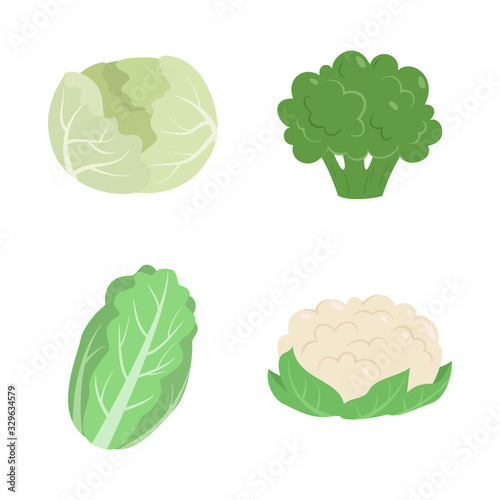 Vegetables set with cabbage, cauliflower, broccoli, and Chinese cabbage.