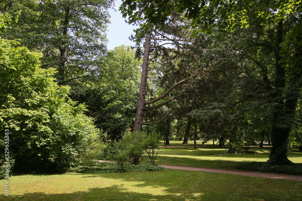 Obraz premium Kurpark im Sommer