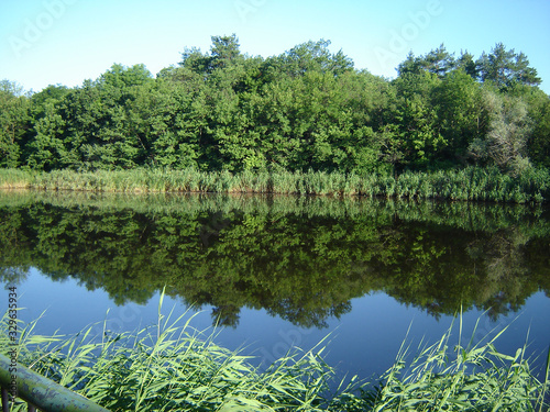 Symmetry of forest and water-7