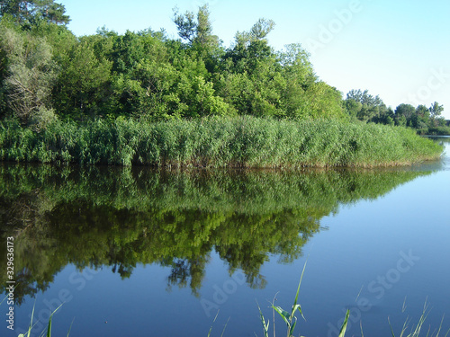 Symmetry of forest and water-9