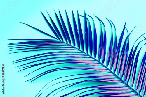 Palm branch on the table