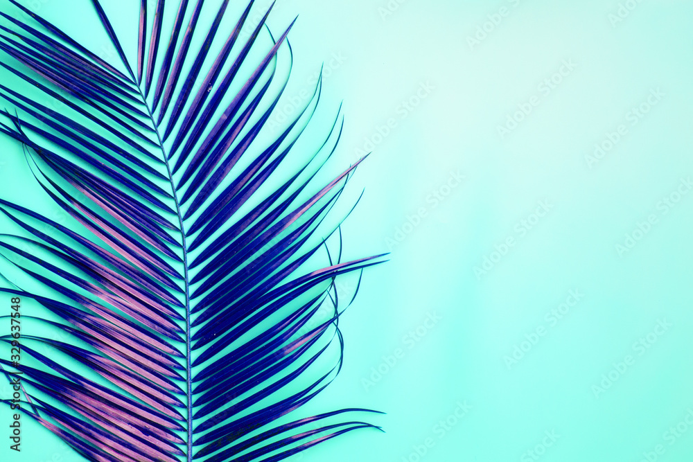 Obraz premium Palm branch on the table