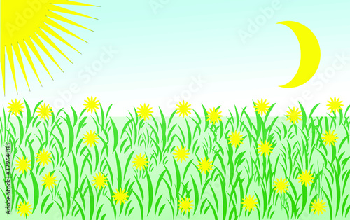 summer background
