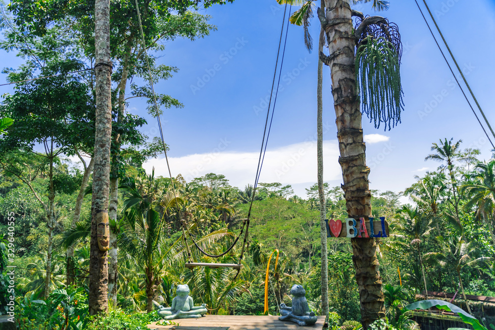 Fototapeta premium Swing in the jungle in Bali. A tourist spot with swings at the rice terraces of Tegalang. Tropical trees, palm trees , and bamboo thickets.