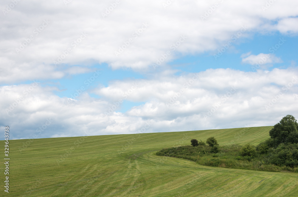 Field of grass Field of grass