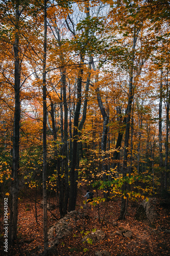 Catskills Mountains Fall Foliage Hike © Jack W Cox