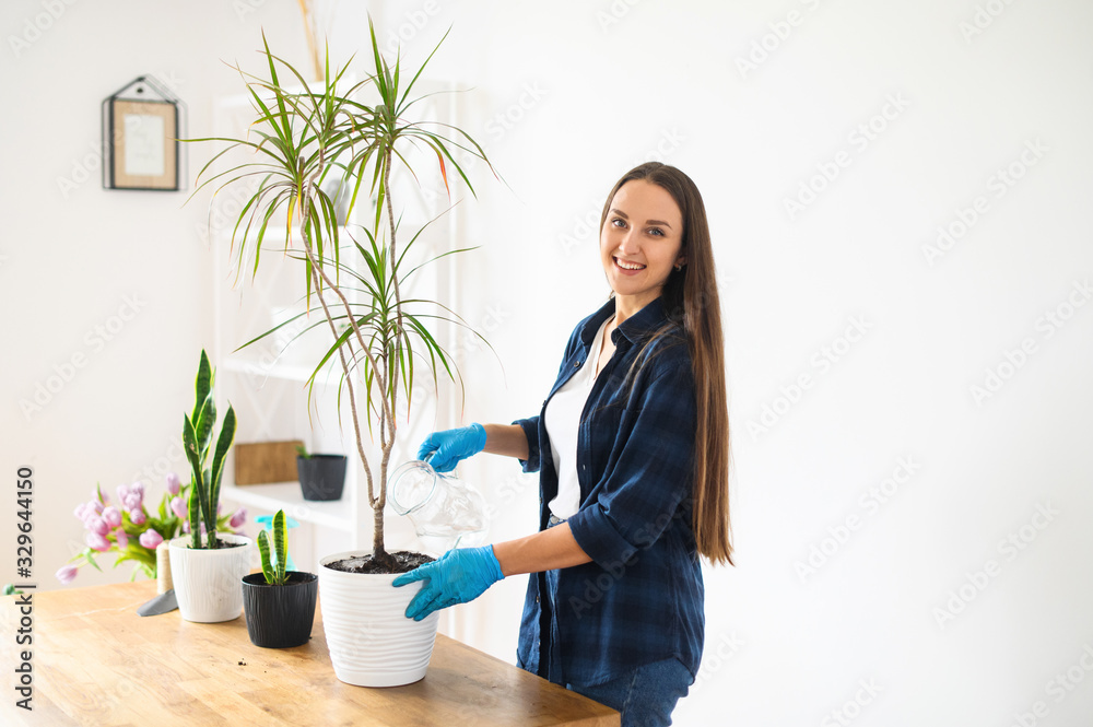 House gardening concept, woman plants houseplants House gardening concept, woman plants houseplants