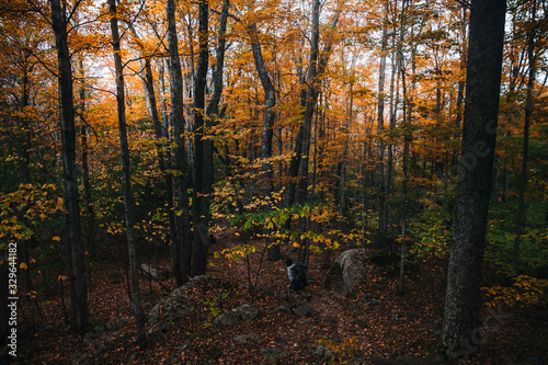 Catskills Mountains Fall Foliage Hike