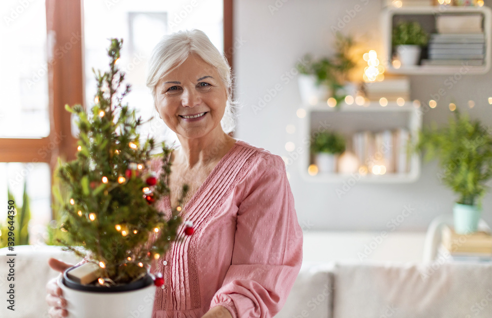 Senior woman holding small potted Christmas tree Senior woman holding small potted Christmas tree