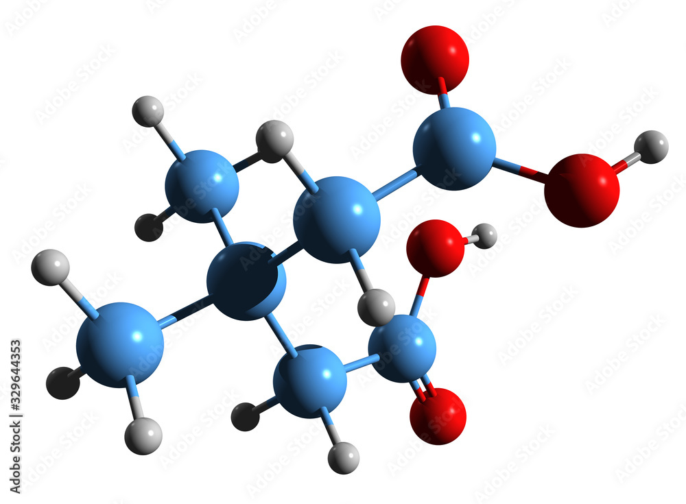 3D image of 3,3-Dimethylglutarate skeletal formula - molecular chemical structure of Pentanedioic acid isolated on white background 3D image of 3,3-Dimethylglutarate skeletal formula - molecular chemical structure of Pentanedioic acid isolated on white background