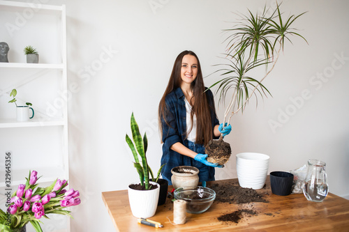 House gardening concept, woman plants houseplants