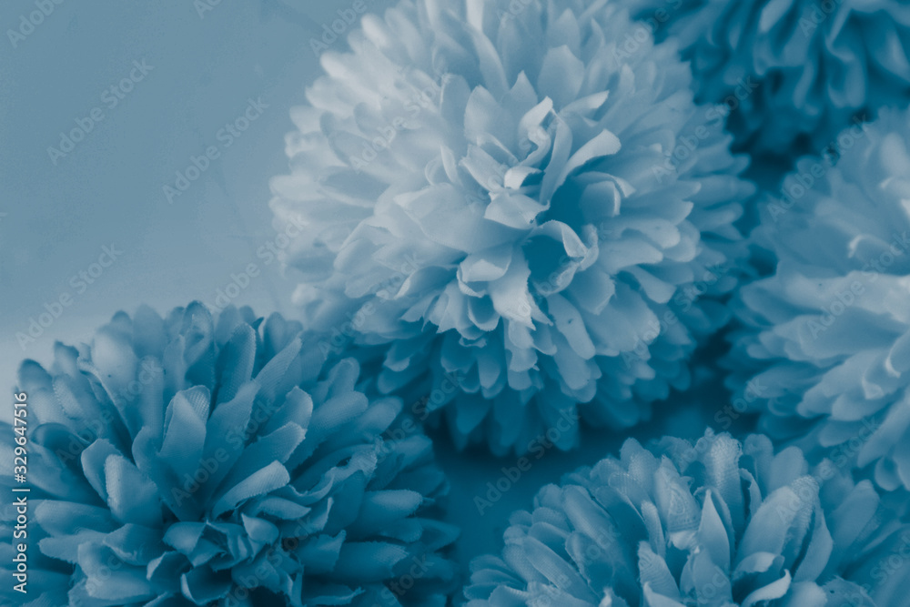 Beautiful abstract color purple and blue flowers on white background and white flower frame and purple leaves texture, light blue background, colorful banner happy valentine Beautiful abstract color purple and blue flowers on white background and white flower frame and purple leaves texture, light blue background, colorful banner happy valentine