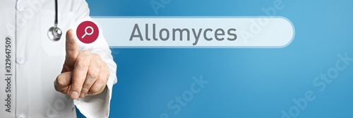 Allomyces. Doctor in smock points with his finger to a search box. The word Allomyces is in focus. Symbol for illness, health, medicine photo