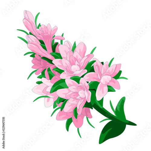 Pink tuberose on white isolated backdrop. Petal flower for invitation or gift card  bed linen  bath tile  scrapbook or notebook. Phone case or cloth print. Hand drawn style stock vector illustration