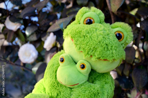  soft toy frog mother with baby in the garden