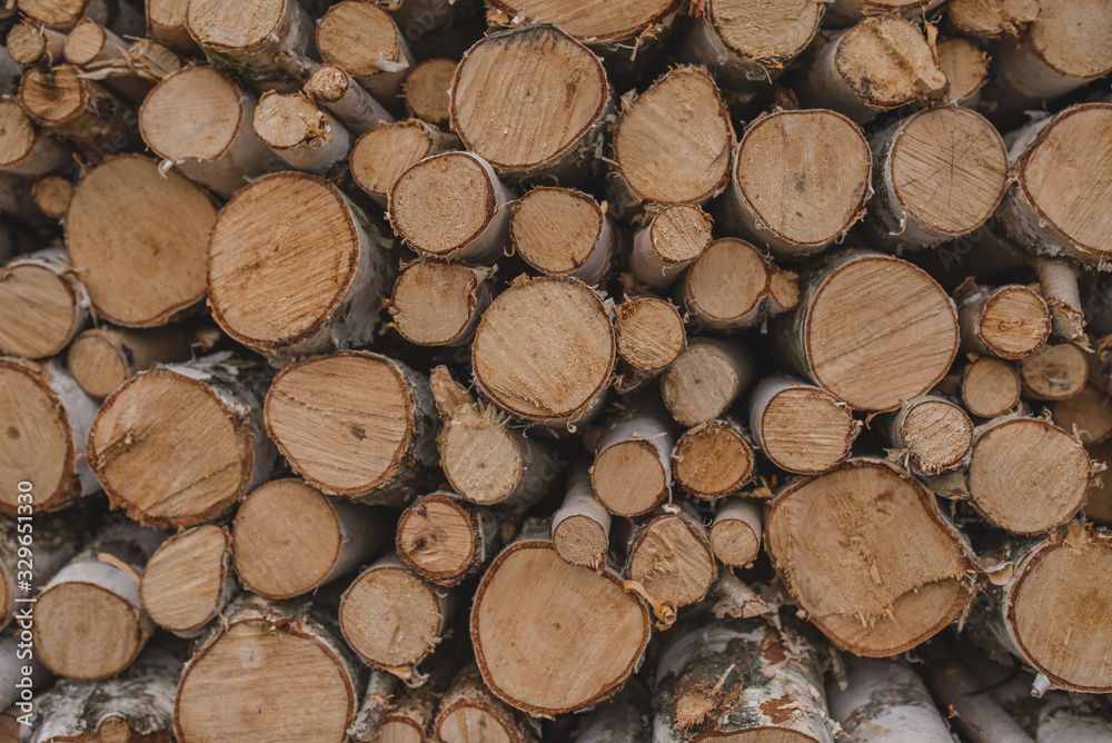 Fototapeta premium A lot of firewood, round cuts of wood. Pile of firewood. Wall of firewood.