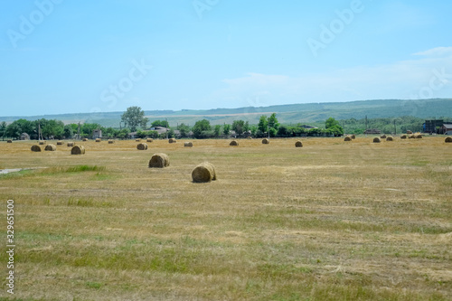 Field with bales of hay. Preparing hay for feeding animals. Newly beveled hay in bales on field. © FOlga