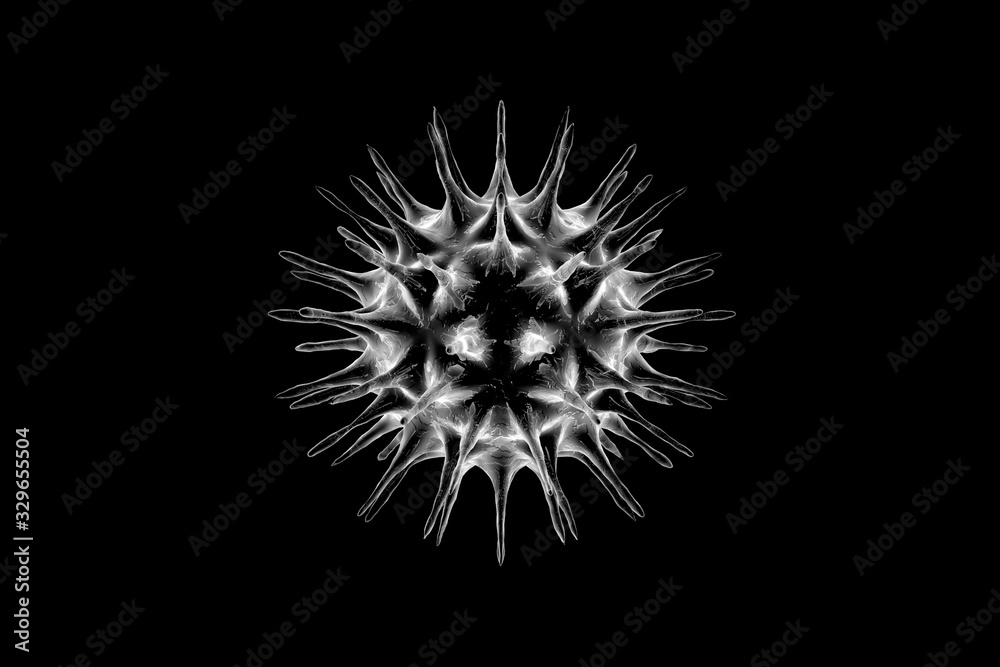 Fototapeta premium Virus (COVID-19) isolated on a black in 3D rendering. A dangerous non-cellular infectious agent that can only reproduce inside living cells and causes flu epidemics. 