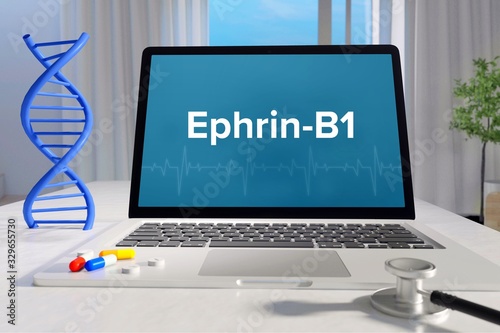 Ephrin-B1 – Medicine/health. Computer in the office with term on the screen. Science/healthcare photo