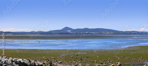 Panoramic view of Padilla bay near Washington state photo