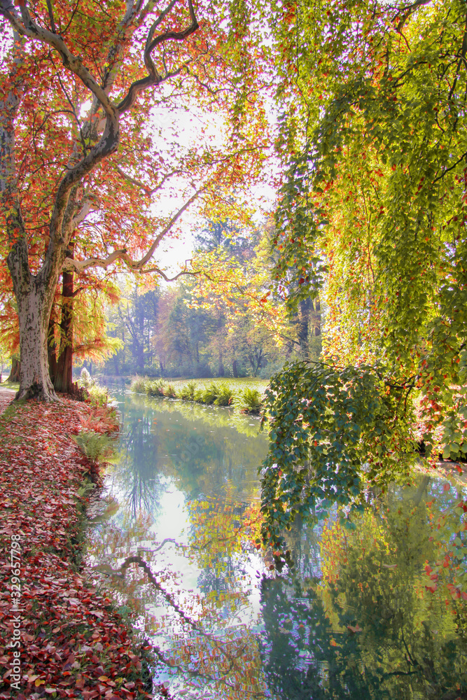 Park Mużakowski, jesień, kolorowe liscie, tło, bad Muskau, trees, autumn, leaves, long exposure time