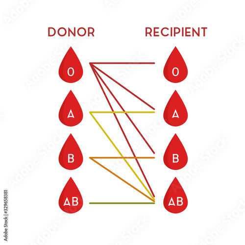 blood types for transfusion flat icon, vector illustration