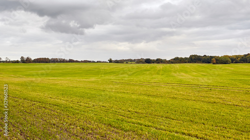Amazing green field panoramic landscape. Beautiful nature panorama. Agriculture.  © EvgL