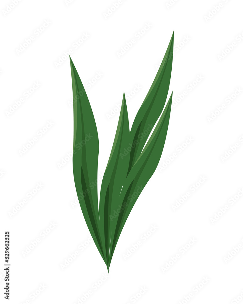ecology leafs foliage nature icon