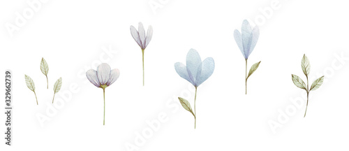 Blue watercolor set of four flowers hand-painted. Flowers can be used as being an element in the design of invitation, wedding or greeting cards.