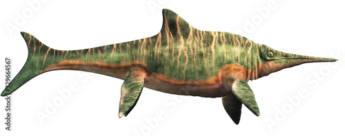 Shastasaurus, an ichthyosaur, and a type of shonisaurus was the largest marine reptile ever. It swam the seas of the Triassic  period. On white. 3D Rendering. photo