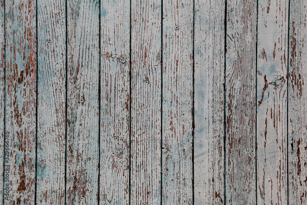 Fototapeta premium Old painted wooden fence. Background texture.
