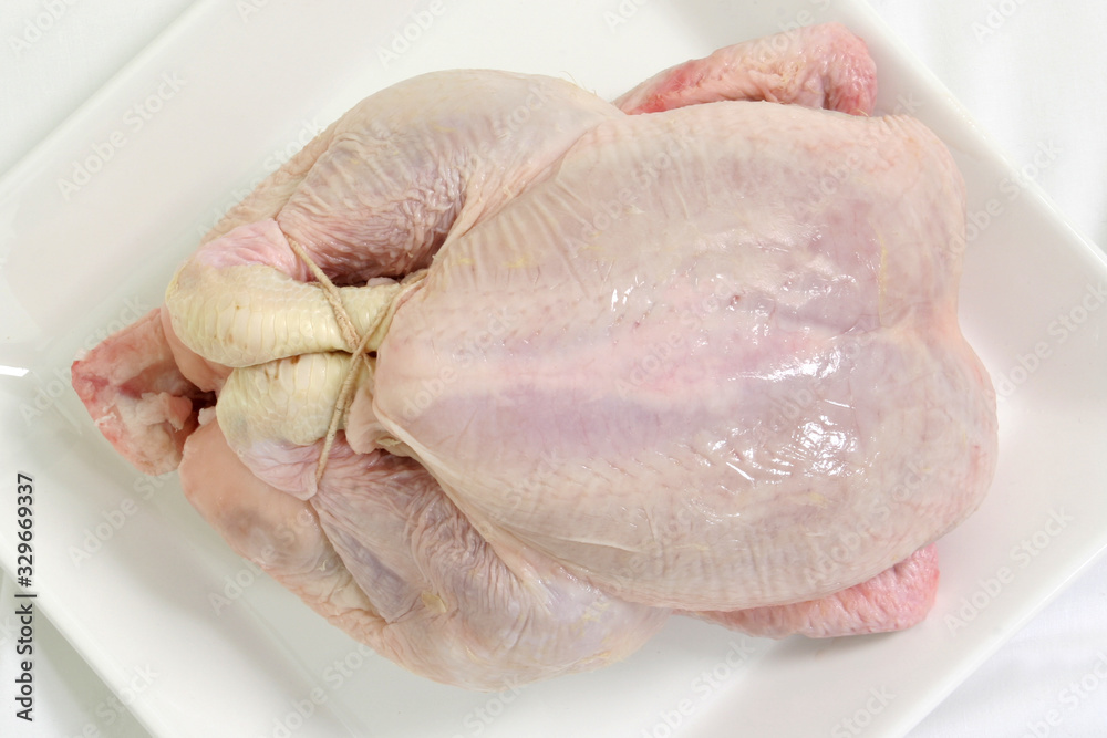 A studio photograph of a raw plucked chicken A studio photograph of a raw plucked chicken