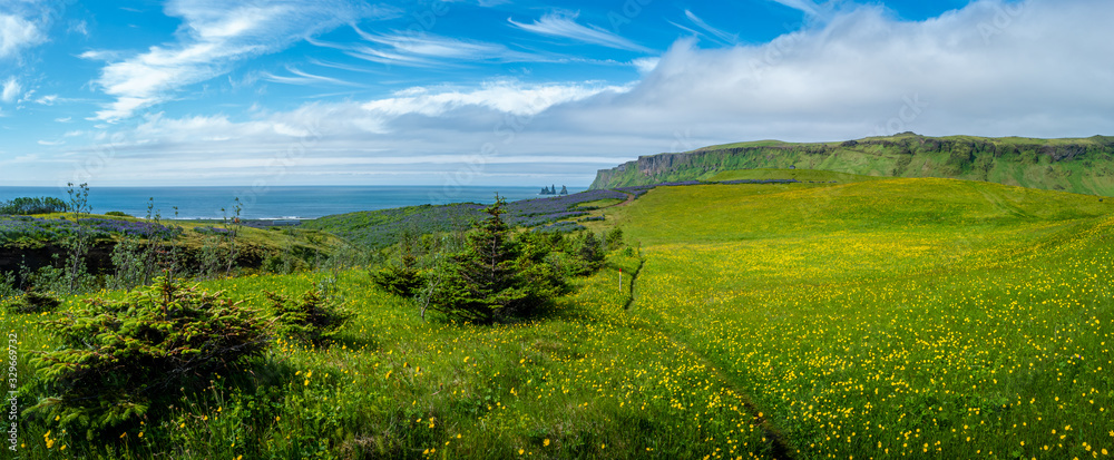 Naklejka premium View of basalt stacks Reynisdrangar, black sand beach near Vik and green grass field with yellow margarita flowers, South Iceland, summer time