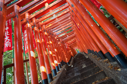 Red Torii gate tunnel at Hie Shrine, Akasaka, Tokyo © Stripped Pixel