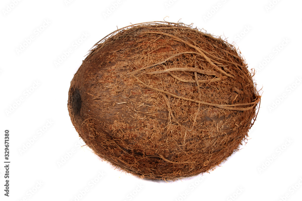 A studio photograph of a coconut A studio photograph of a coconut