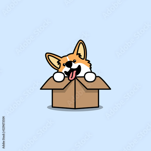 Funny welsh corgi dog in the box, vector illustration