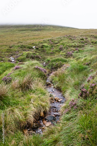 Creek running trough green fields